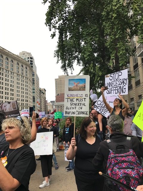 Animal Rights March- September 2, 2017 – NYC